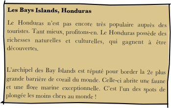 Les Bays Islands, Honduras
Le Honduras n’est pas encore très populaire auprès des touristes. Tant mieux, profitons-en. Le Honduras possède des richesses naturelles et culturelles, qui gagnent à être découvertes.
 L’archipel des Bay Islands est réputé pour border la 2e plus grande barrière de corail du monde. Celle-ci abrite une faune et une flore marine exceptionnelle. C’est l’un des spots de plongée les moins chers au monde ! 